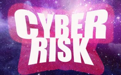 Framework for balanced cyber risk decisions