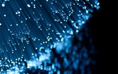 Opinion: The fibre dilemma