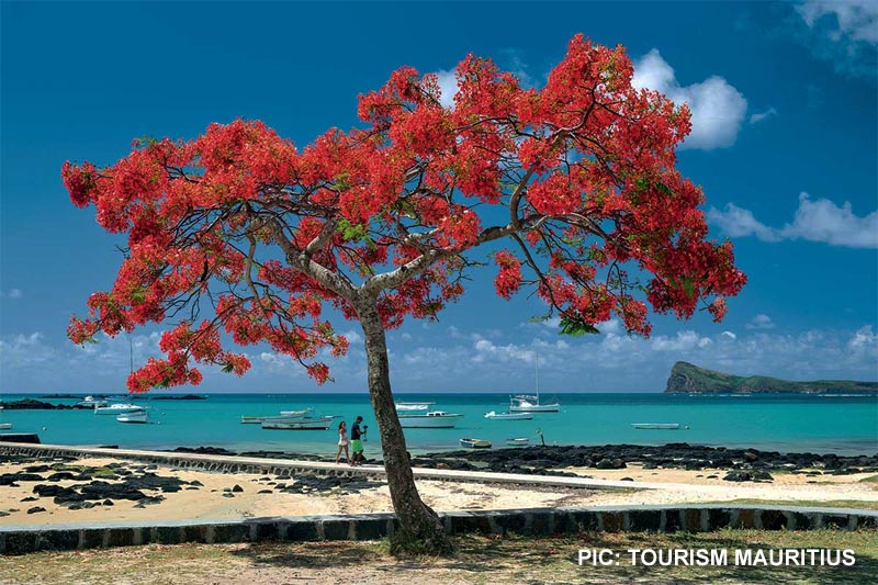 Mauritius evolution: Why many are taking their business to the beach