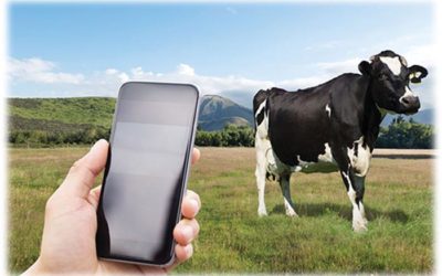 Tech innovation could shake up agricultural sector