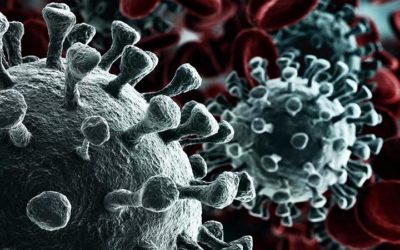 Coronavirus-themed malware takes advantage of Covid-19 fears