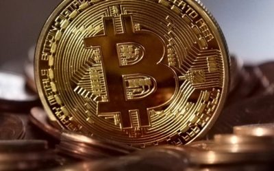 What factors have contributed to phenomenal rise in Bitcoin fortune?