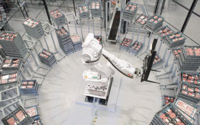 ABB robotics offer SA’s food and beverage industry a taste of the future